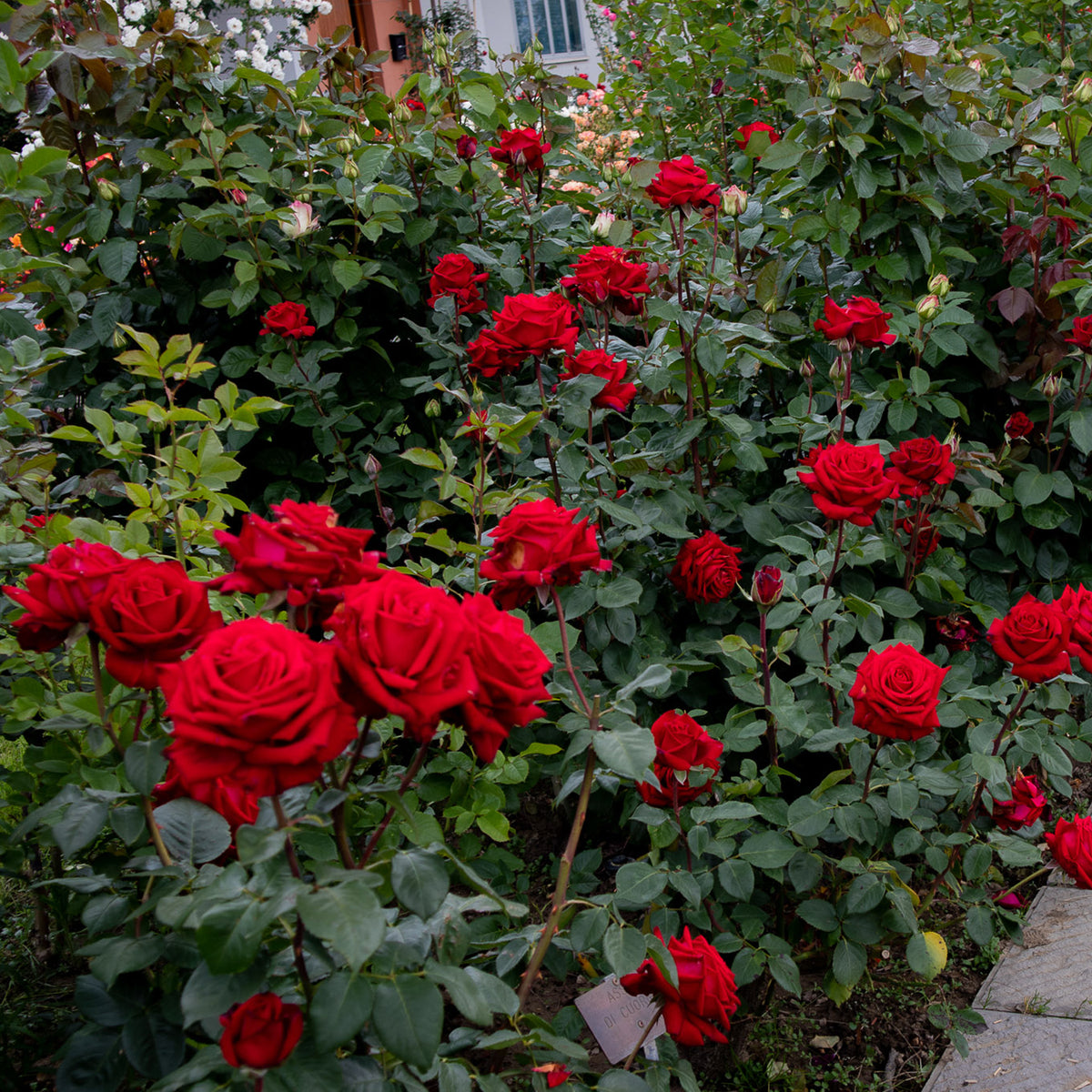 01022_d000005884_0001_0001.jpg