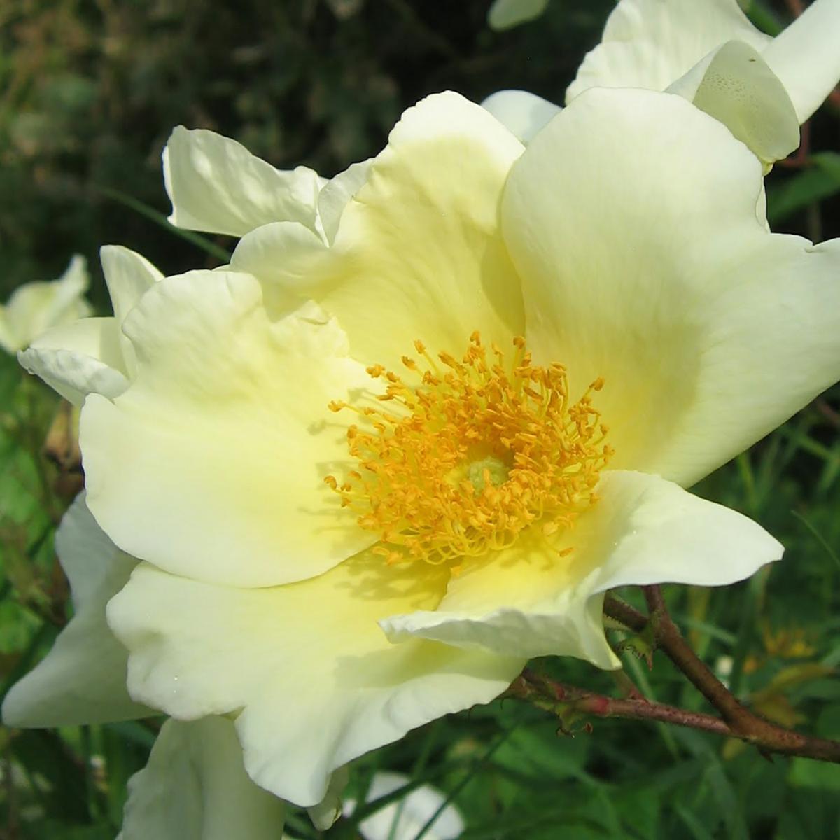 14037_4544135C0000000000000000000000000000000000000000.bmp